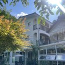 (주)아성다이소 대전도마2호점 | 서울근교 1박 숙소 추천 : 스테이인터뷰 양평 내돈내산 본격 숲캉스를 원한다면 ! 양평 감성숙소