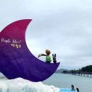 퍼플여행 이미지