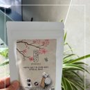 면역충전소 향라이