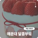 부산 수제 과일케이크 해운대 달콤부엌 딸기가득생크림케이크