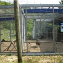 경상북도 야생동물 구조관리센터 이미지