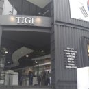 48TIGI