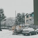 [ 포켓몬고 ] 이로치세레비 스페셜리서치 후기 &amp; 포켓몬스터 소드실드로 옮기기