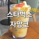 통영그란데 | 🥤스타벅스 자몽망고코코 프라푸치노 신메뉴 후기 여름 한정 재출시