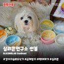 아이제형연구소 | 강아지슬로우식기 실리콘연구소 썬볼 | 급체방지 백태제거 노즈워크 예쁜 밥그릇 1년 후기