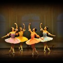 수원발레축제 이미지