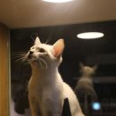 청주지웰동물병원 이미지