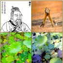 02)07~08. 莊子장자 內篇내편 第02篇 齊物論제물론(第07~08章)/인공지능,보그,AI,빅테크,기생충,APEC,펜타닐,눈치 이미지