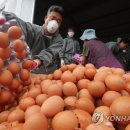 서강원농장 이미지