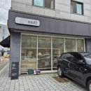 무티티(mutt) 이미지