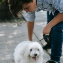 공존의 행복 이미지