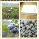 갈마농원 이미지