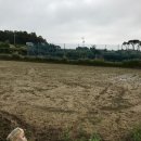 오가면010 이미지