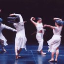 2005 서울국제공연예술제 참가작 - 댄스씨어터 까두 - 푸른돌 이미지