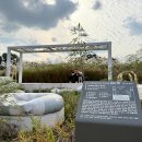 에코중앙로R 이미지