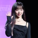 비비정지 이미지
