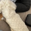THE PLAY(더플레이) 이미지