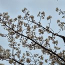 1/APR 빌어먹을 계절이야, 용기고 나발이고!