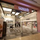 위드미 하남스타점 | 하남스타필드 애견용품점 몰리스펫샵 사료 옷 강아지 유모차