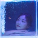 용산사진관 물들이다에서 요즘 핫한 어항프로필 촬영