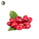 아모레7 | 아모레 바이탈뷰티 극진단 후기｜침향 들어간 기력앰플, 7일만에 체감한 포인트