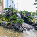 댕댕이루 이미지