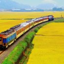 노을연가 이미지