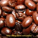 커피여행 이미지