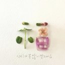넥스트밸류