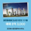 대전아이파크시티호수공인중개사사무소 이미지