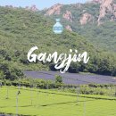 강진 반값여행 신청 방법 여행코스 백운동원림 강진다원 세계모란공원 후기