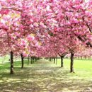 하늘마음한의원 이미지