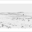 성찬목장 이미지