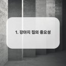 켄넬퀸비 이미지