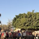 노랑머리앤 | 이집트 카이로 무휘 투어 - 기자 투어 (피라미드 / 스핑크스 / 낙타 체험 / 이집트대박물관) 추천 후기 !