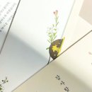 꼬꼬봉투 네이버블로그