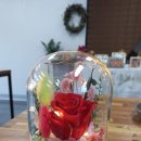 선거마을 이미지