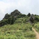 참샘길 이미지