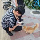 9월) 행복은 일터와 멀어지는 것