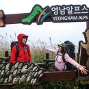 송월동 동화마을 특화거리 이미지