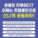 송촌프라자 | 🚀운동을 꾸준히 해야 하는 이유! 재미와 효과를 동시에 잡는 ‘송촌점핑’에서 시작하세요!