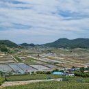 원포오션마트 이미지