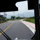 중간상사리 이미지