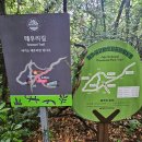 이호공원 이미지