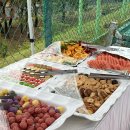 토마토출장뷔페 네이버블로그