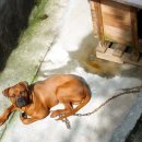 빗장미용실 이미지