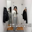 T.M.T.C.자연농장 | 유니클로 C라인 3종 피팅 후기, 어떤 코디가 좋을까?