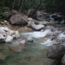 대한건재 이미지