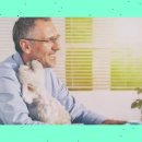 건강한 강아지 이미지