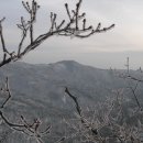 정상로 이미지
